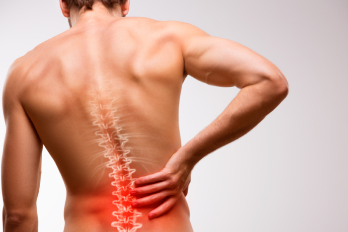 muscular or disc - back pain