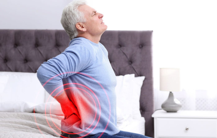 What Organ Would Cause Lower Back Pain?