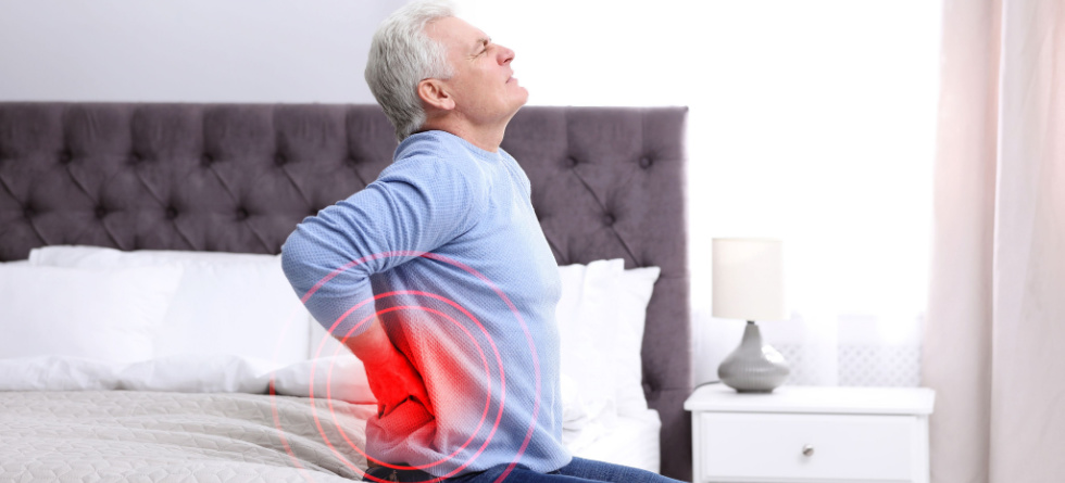 What Organ Would Cause Lower Back Pain?